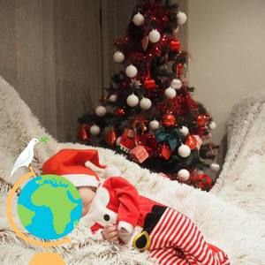 Meet your Posher, Mayca